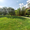 Nan Garden in front of the park