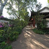 Nan Garden(楠园)