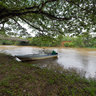 Rio Frio Caiman, Costa Rica