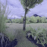 Arenal Springs, La Fortuna, Costa Rica - INFRARED