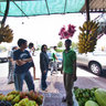 MASAFI FRIDAY MARKET (Dubai - Fujairah Road)
