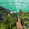 MASAFI FRIDAY MARKET NURSERY (Dubai - Fujairah Road)