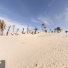Sahara