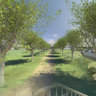 Notley Young Plantation.  View from 9th Street and SE Freeway