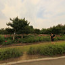 长春公园----鲜花美女11,Changchun park,