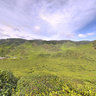 Cameron Highland