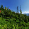 My Bee hive on top of the Beskydy Mountains