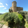 Scarlino-Castle and olive grove