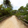 Roccamare-pinewood-