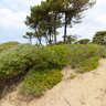 Roccamare beach