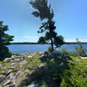 Three Tree Island on Bear Lake in Killarney Provincial Park