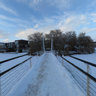 York University