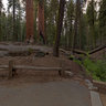 Giant Forest, Sequoia National Park