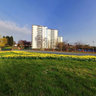 Spring Town