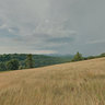 On Rocky Knob After an Evening Thundershower