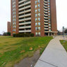 Forest Park Apartment - Front Yard
