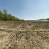 Vistula