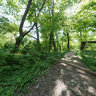 Path along the Świder river